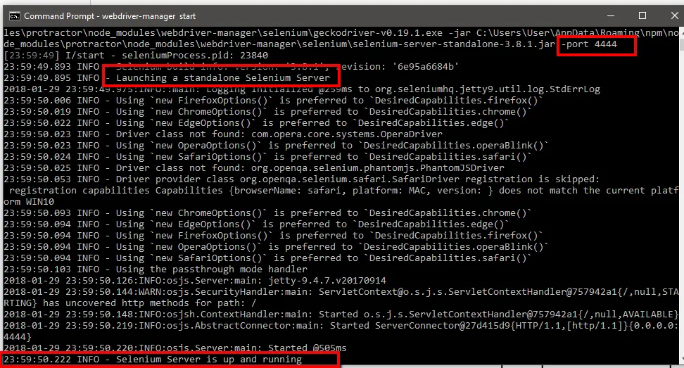 selenium server logs